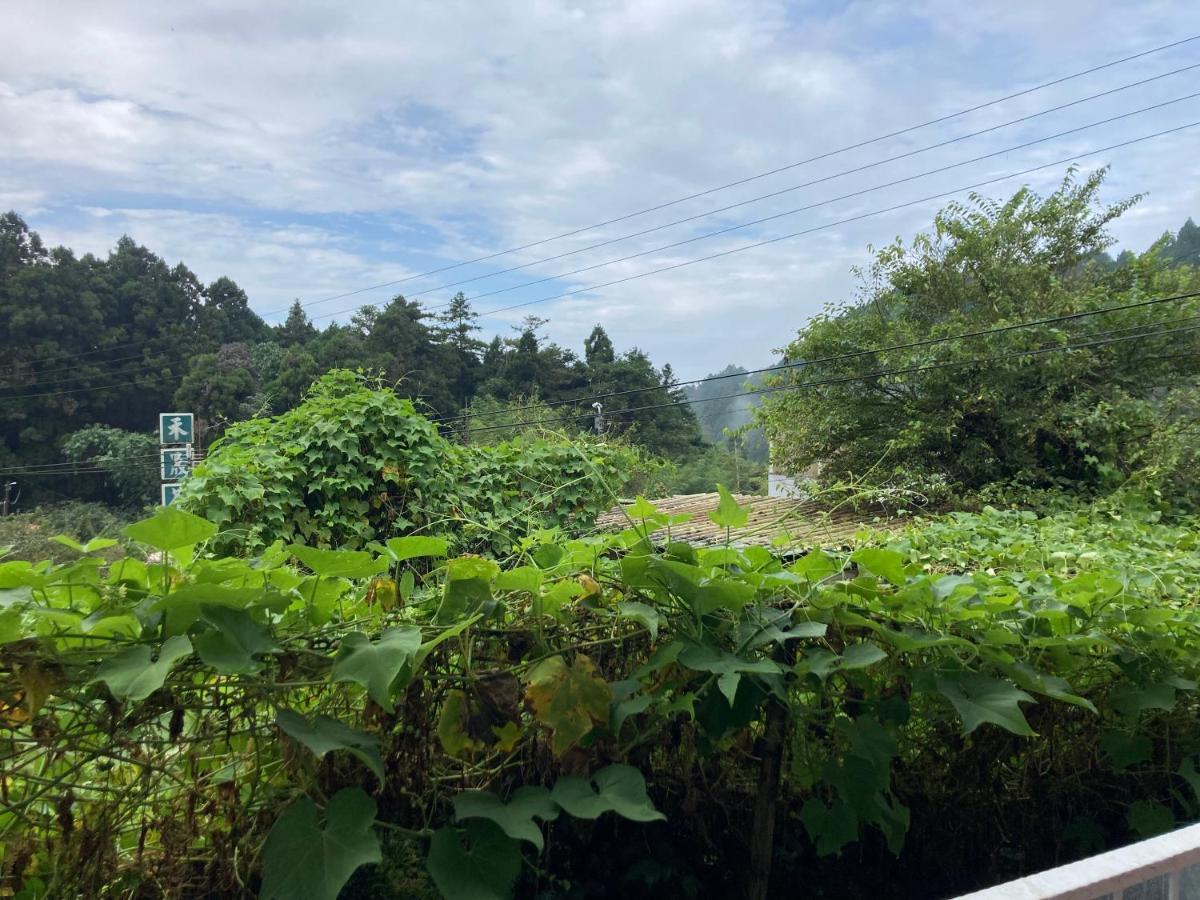 老老街 誠君民宿 Fenchihu Buitenkant foto